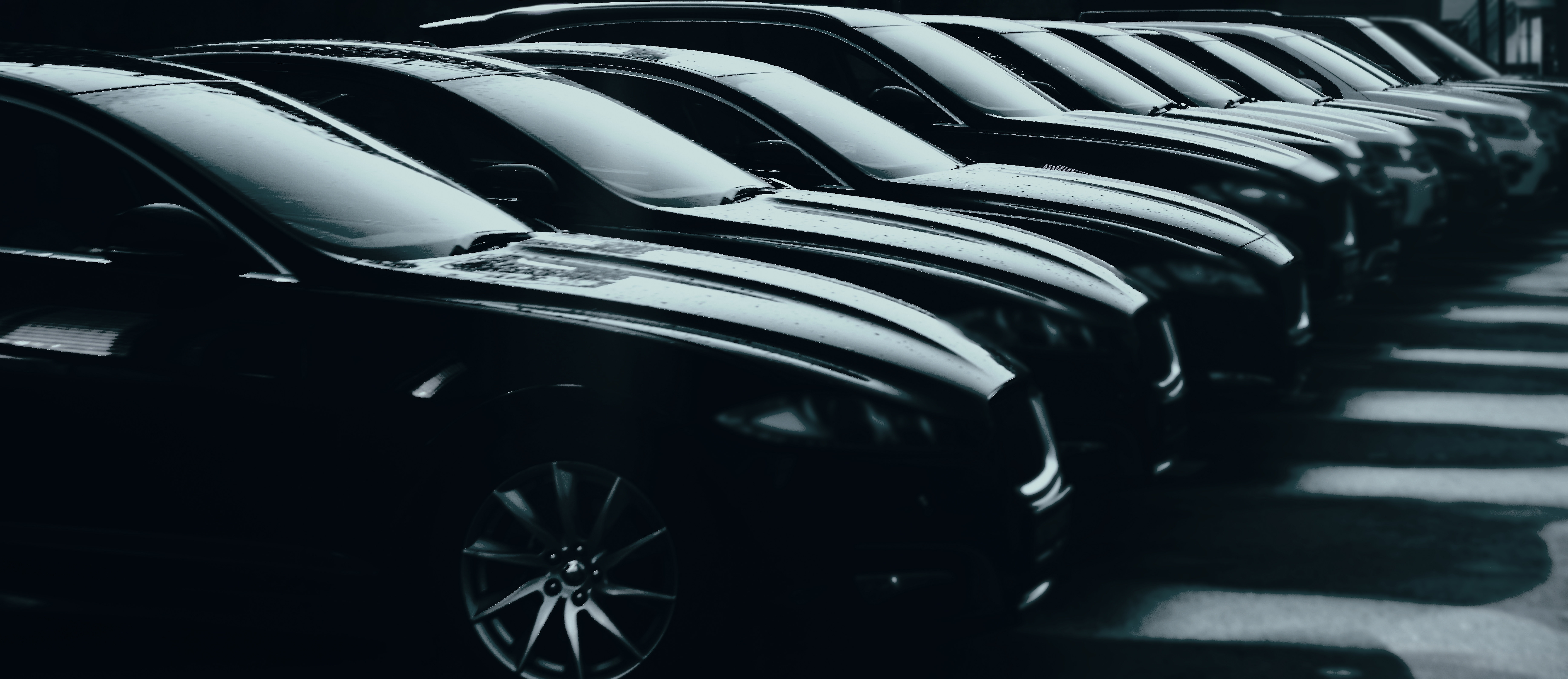 Washington DC Wedding Transportation